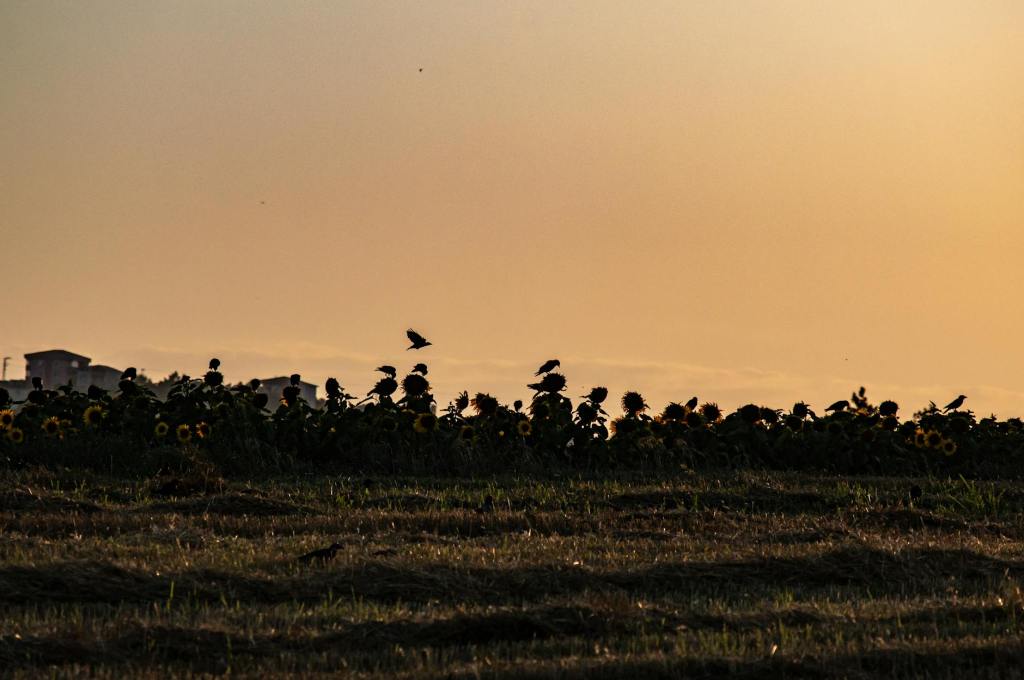 A Moment for&nbsp;Peace